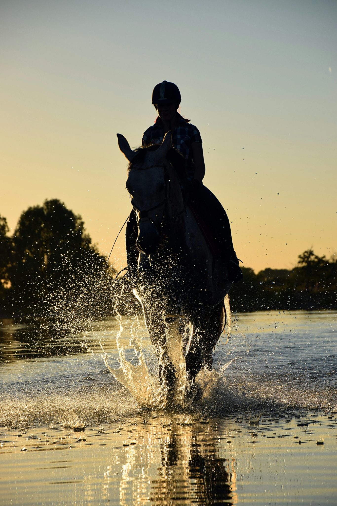 Horses-Riding-Sea-scaled